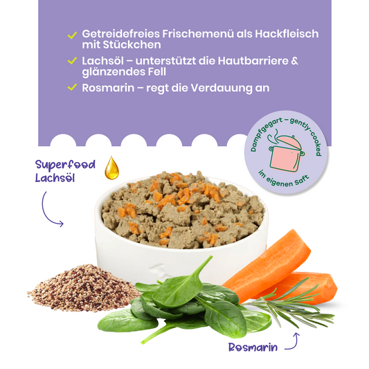 FAiRFRESH Rind Geschenk Schüssel – Quinoa Karotten Spinat frische Zutaten Serving Suggestion