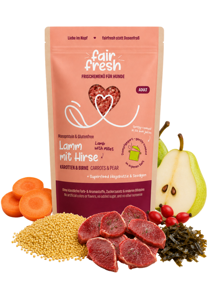 Lamm mit Hirse & Birne - Alleinfutter sensitive Hunde