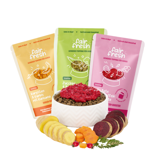 FAiRFRESH Gemüse Toppings Sortiment – Zucchini Karotten Rote Beete Brokkoli Übersicht