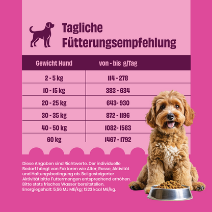 Geflügel mit Hirse, Roter Bete und Karotten