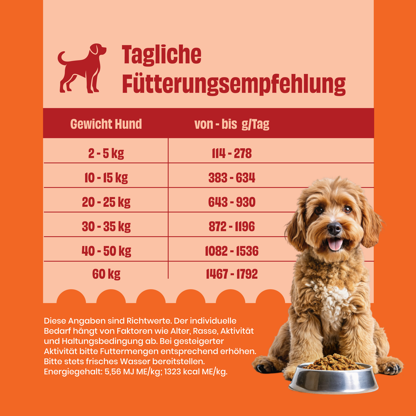 FAiRFRESH Huhn Reis Fütterungsempfehlung – Tagesration nach Körpergewicht Hund