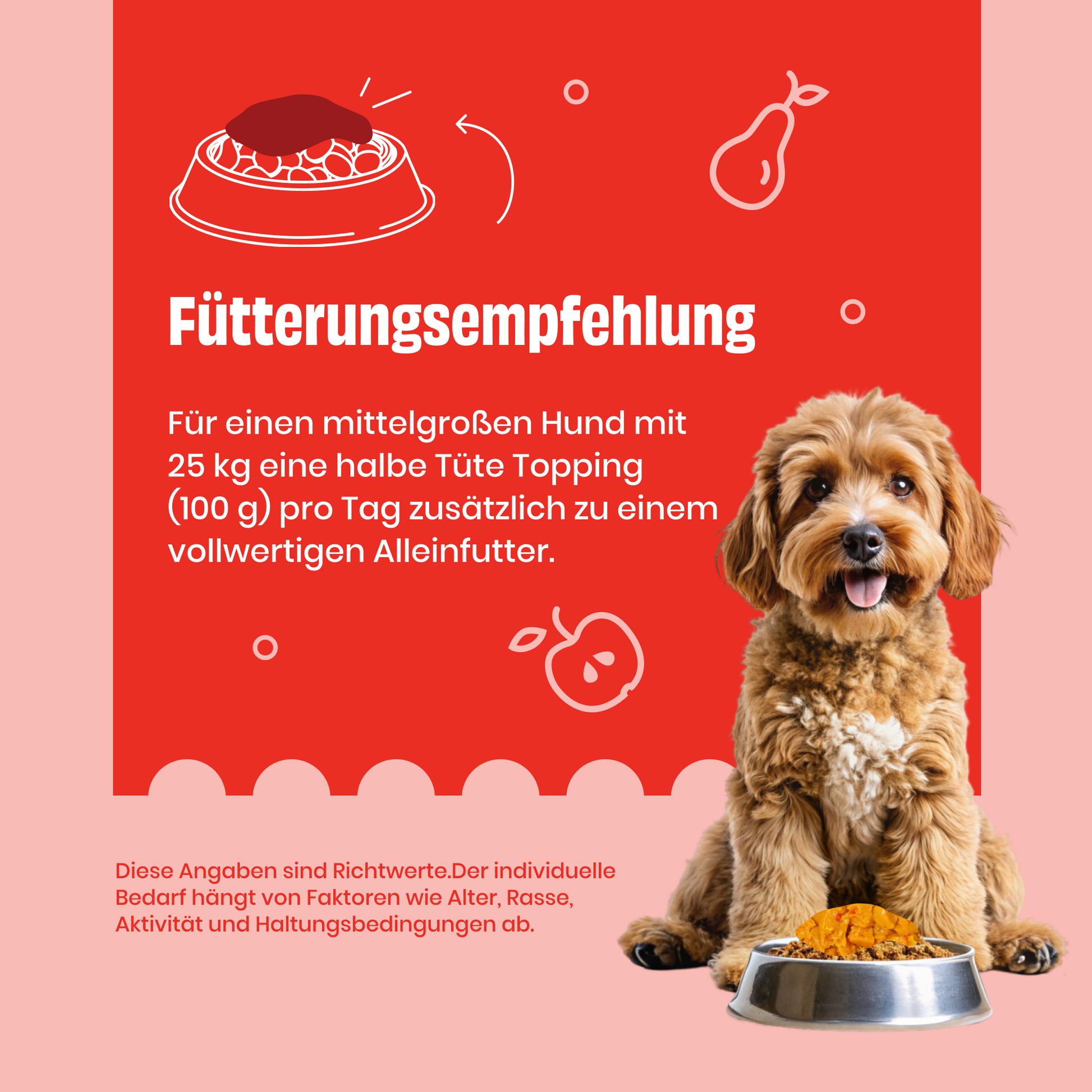 FAiRFRESH Frucht-Topping Fütterungsempfehlung – Ergänzungsmenge Hund täglich